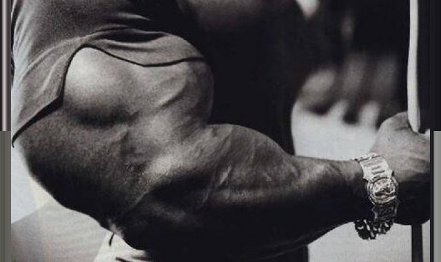 Arms blow up workout, part 2 Arms blow up workout, part 2