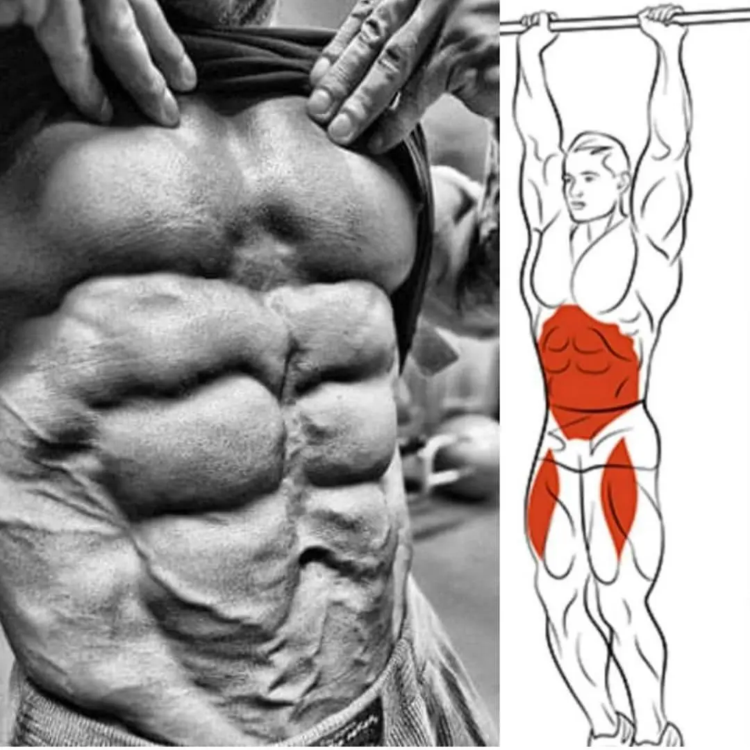 Clenbuterol for Fat Loss: Usage Guide and Common Question