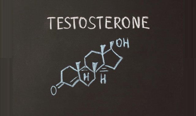 PCT: Supplements to Restore Testosterone After a Steroid Cycle PCT: Supplements to Restore Testosterone After a Steroid Cycle