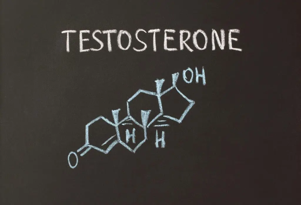 PCT: Supplements to Restore Testosterone After a Steroid Cycle