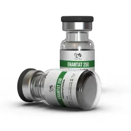 Enantat 250 Dragon Pharma, Europe