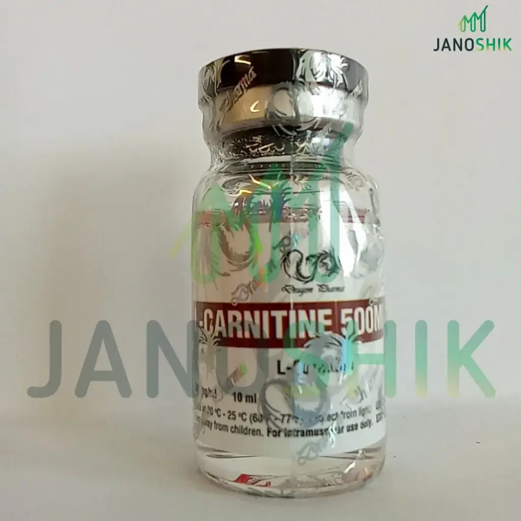 L-Carnitine 500 Dragon Pharma, Europe L-Carnitine 500 Dragon Pharma, Europe
