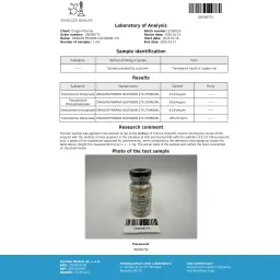 SUSTANON 270 Dragon Pharma, Europe