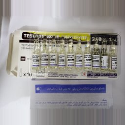 Testosterone Enanthate (amps) PanPharma